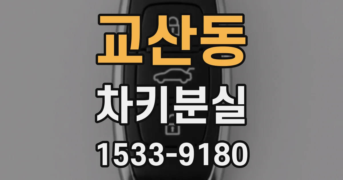 교산동 차키분실