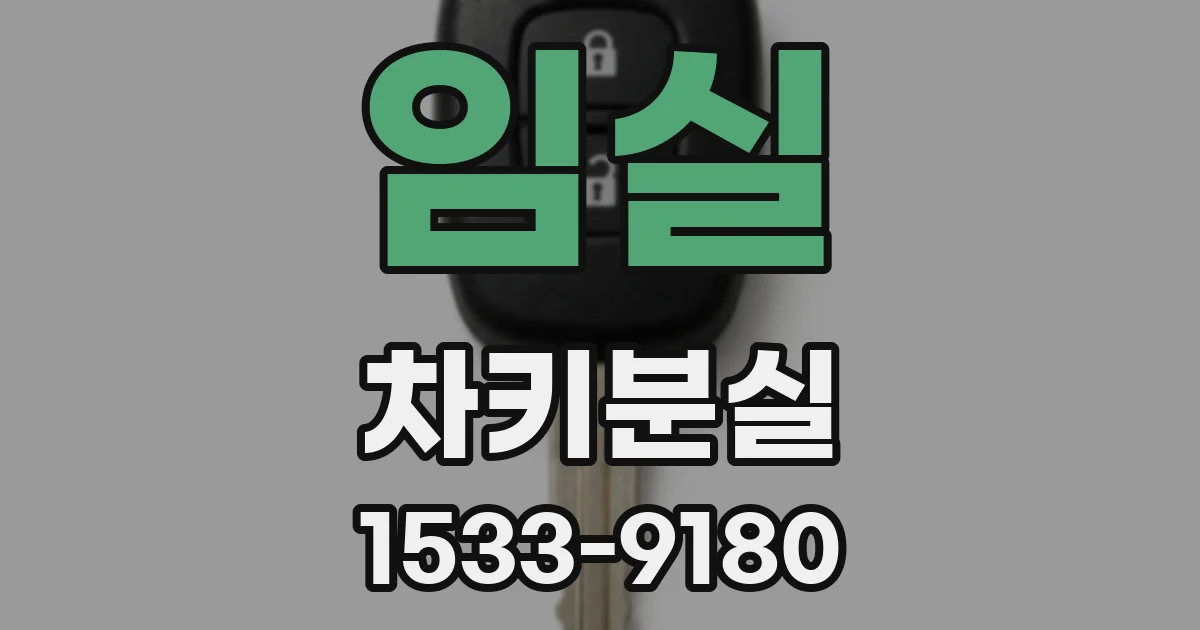 임실 차키분실