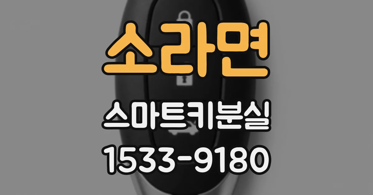 소라면 스마트키분실