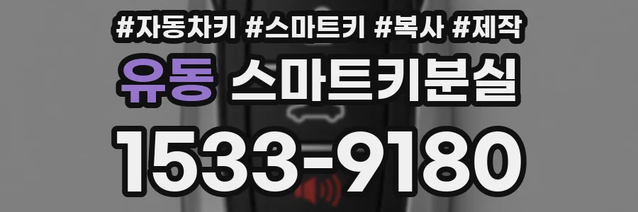 유동 스마트키분실