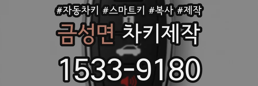 금성면 차키제작