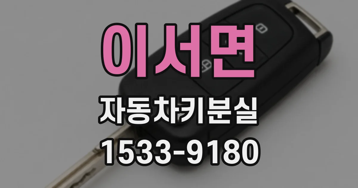 이서면 자동차키분실