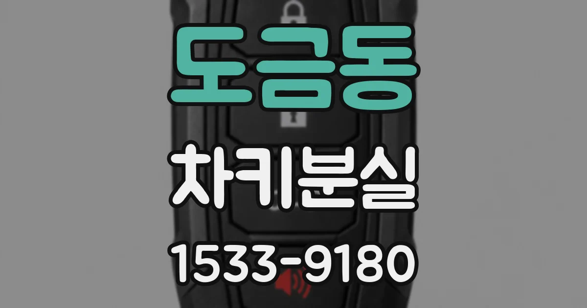 도금동 차키분실
