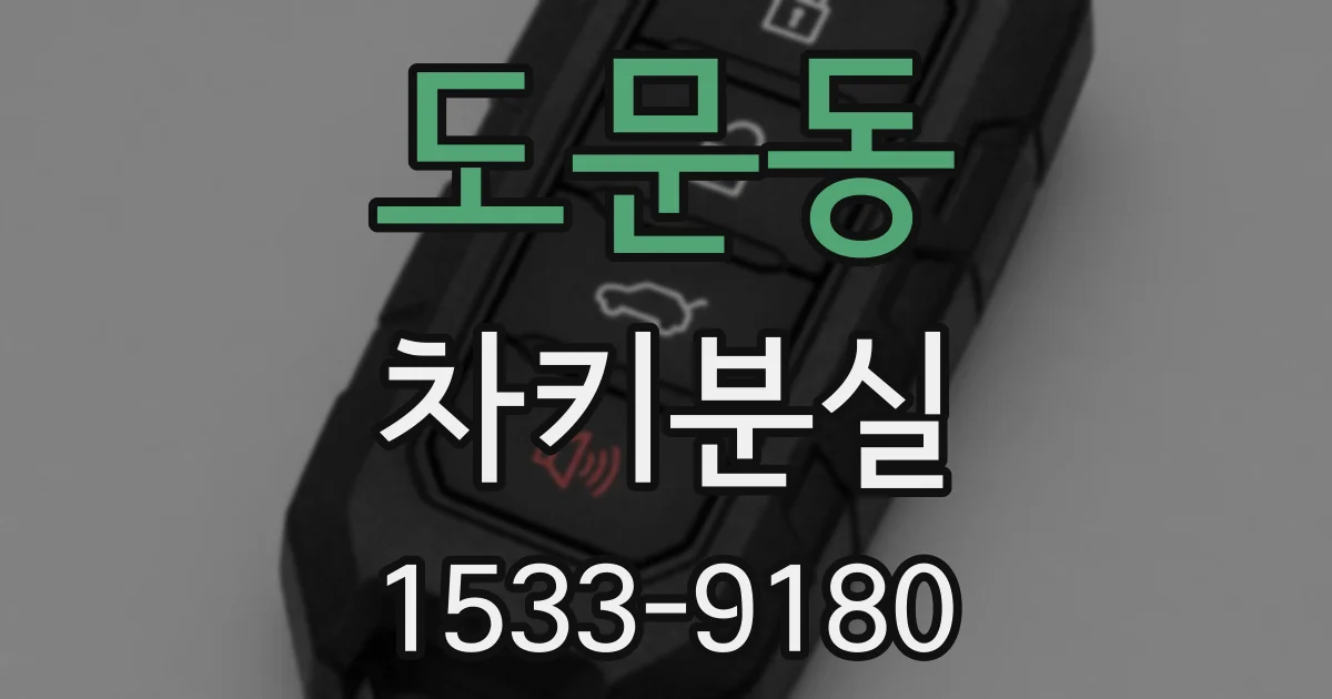 도문동 차키분실