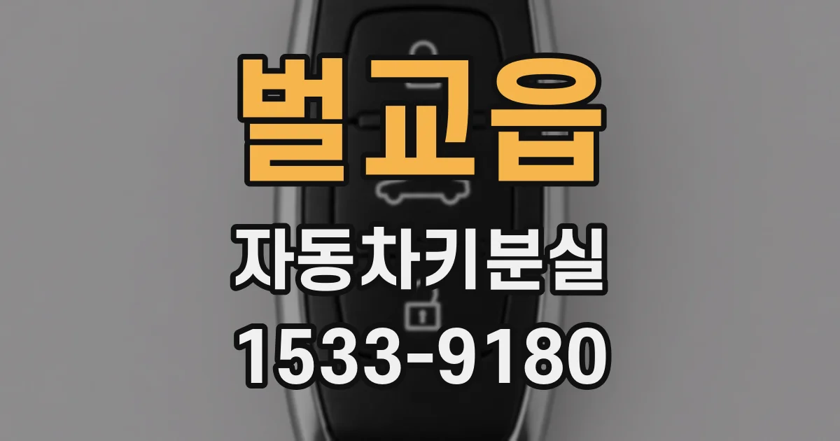 벌교읍 자동차키분실