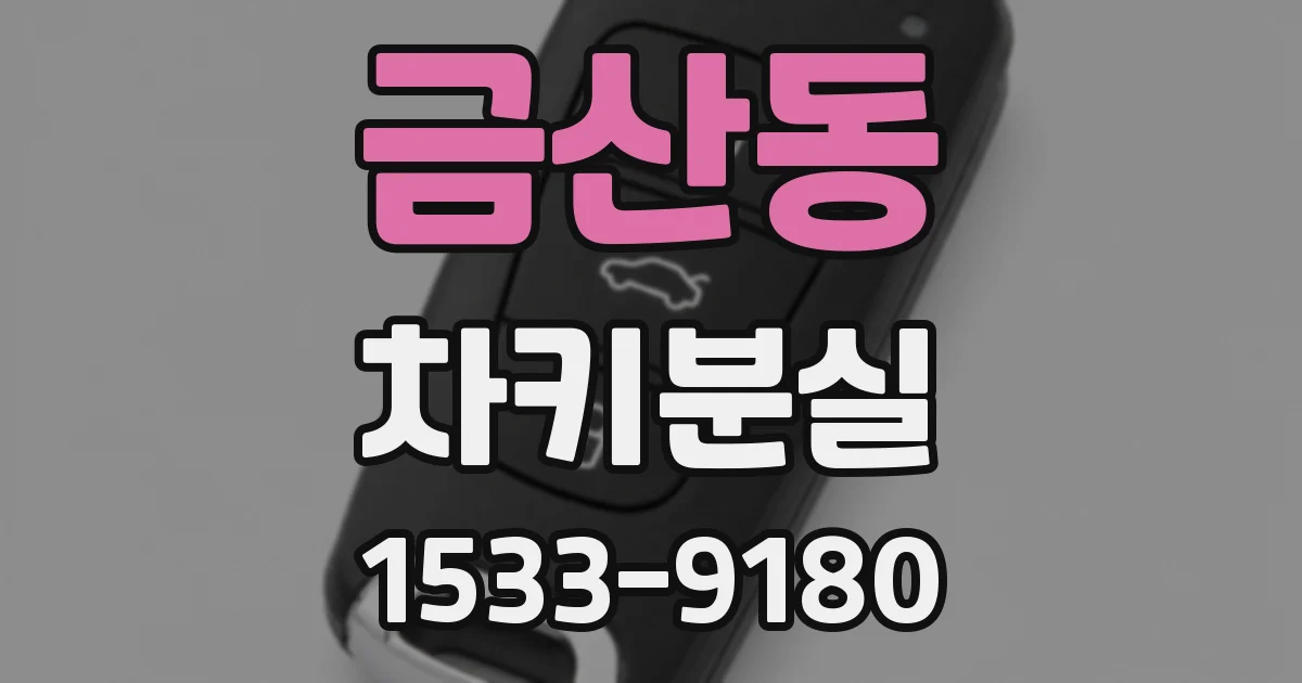 금산동 차키분실
