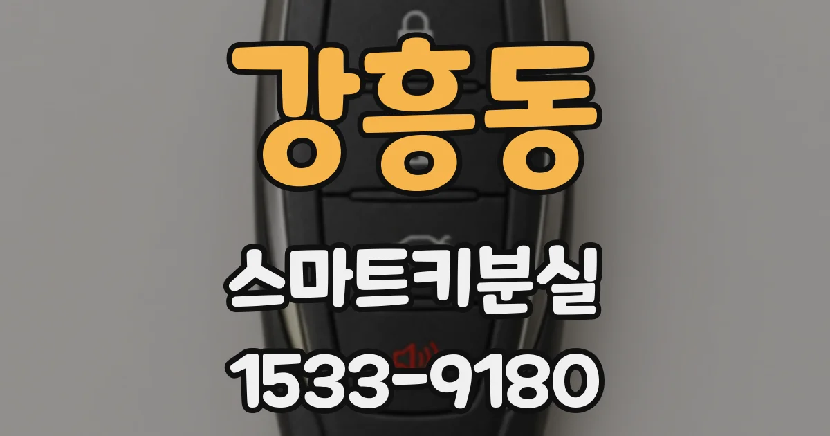 강흥동 스마트키분실