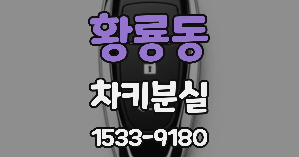 황룡동 차키분실