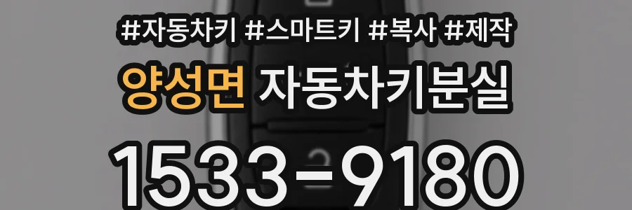 양성면 자동차키분실