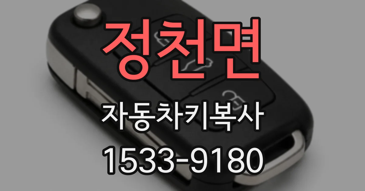 정천면 자동차키복사