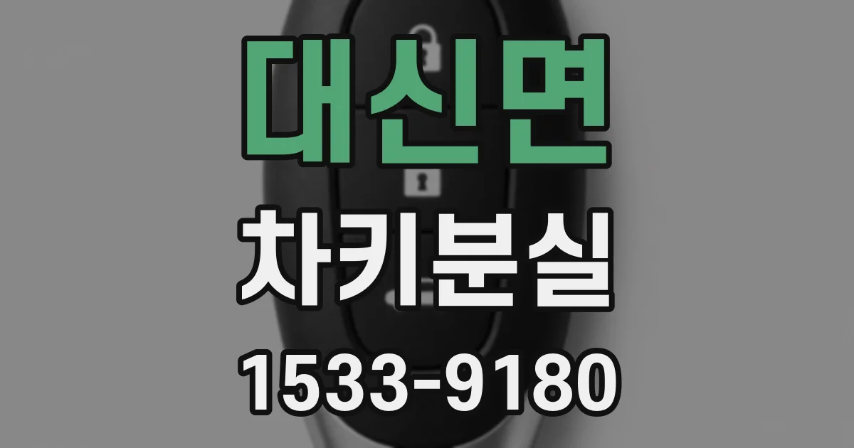 대신면 차키분실