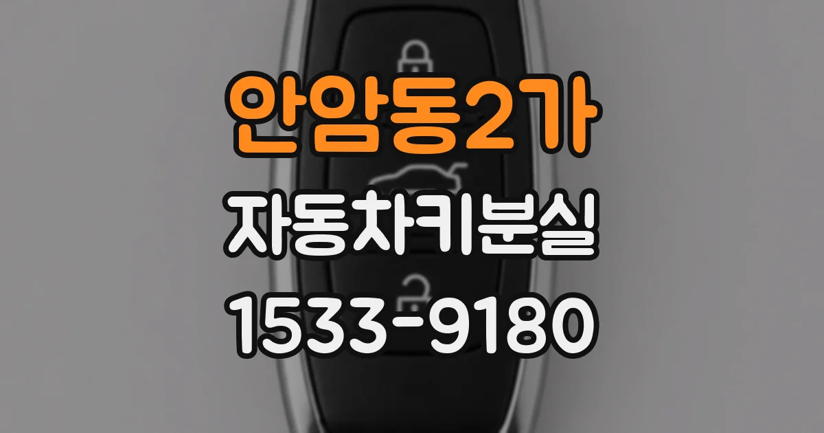 안암동2가 자동차키분실