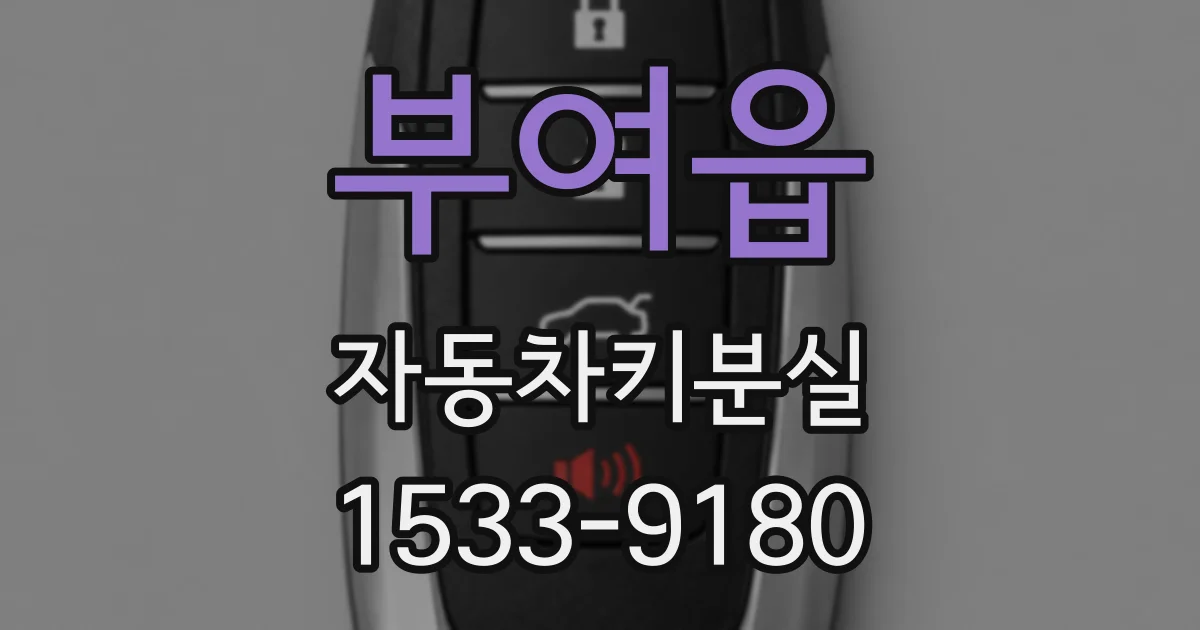 부여읍 자동차키분실