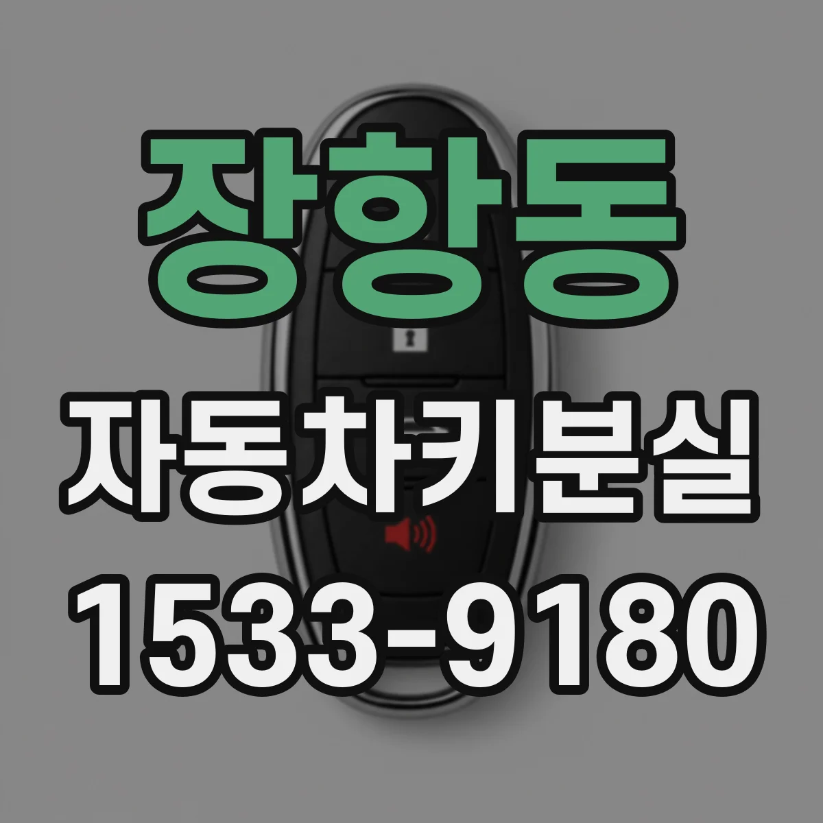 장항동 자동차키분실