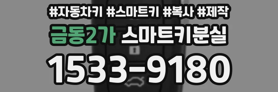 금동2가 스마트키분실