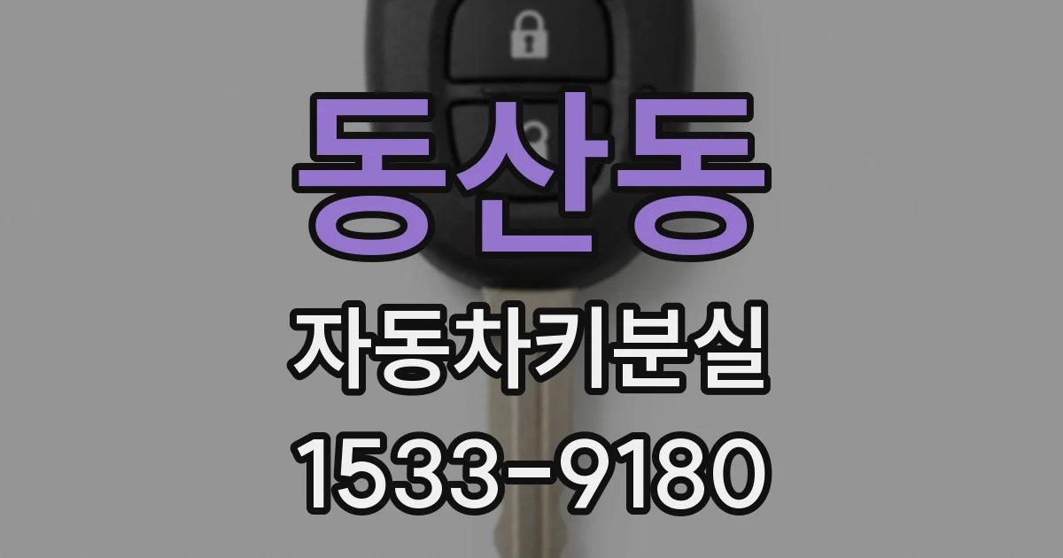 동산동 자동차키분실