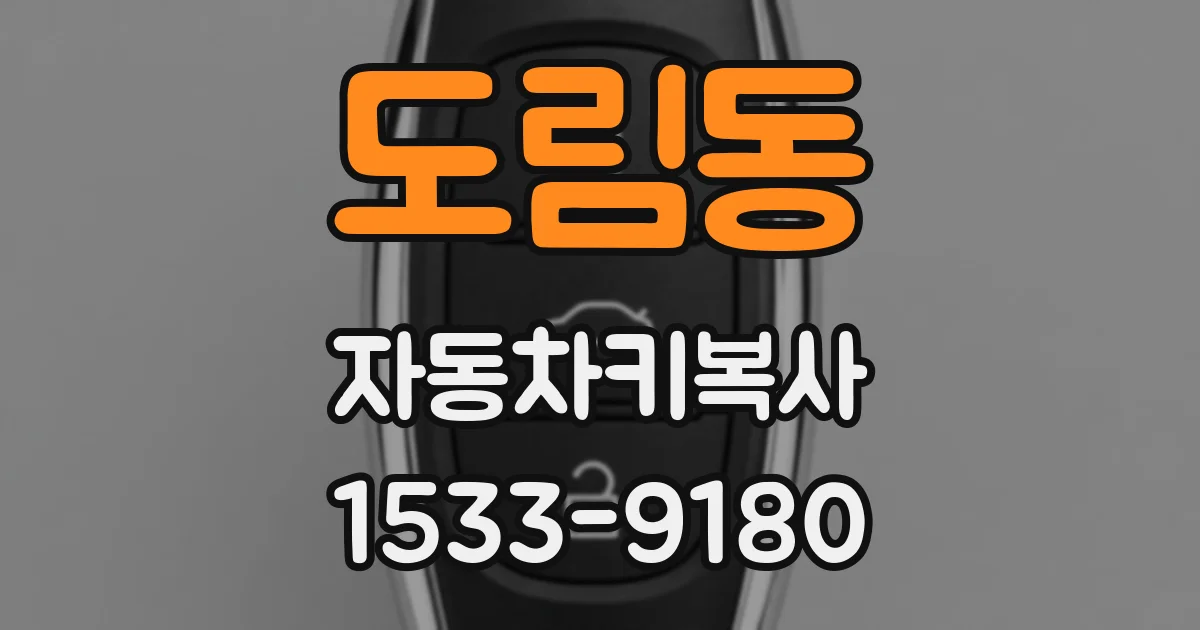 도림동 자동차키복사