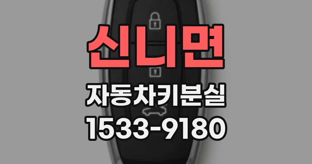 신니면 자동차키분실