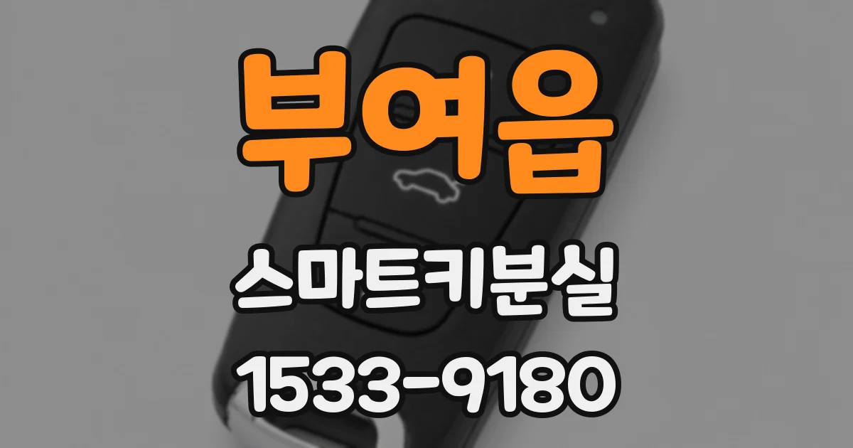 부여읍 스마트키분실