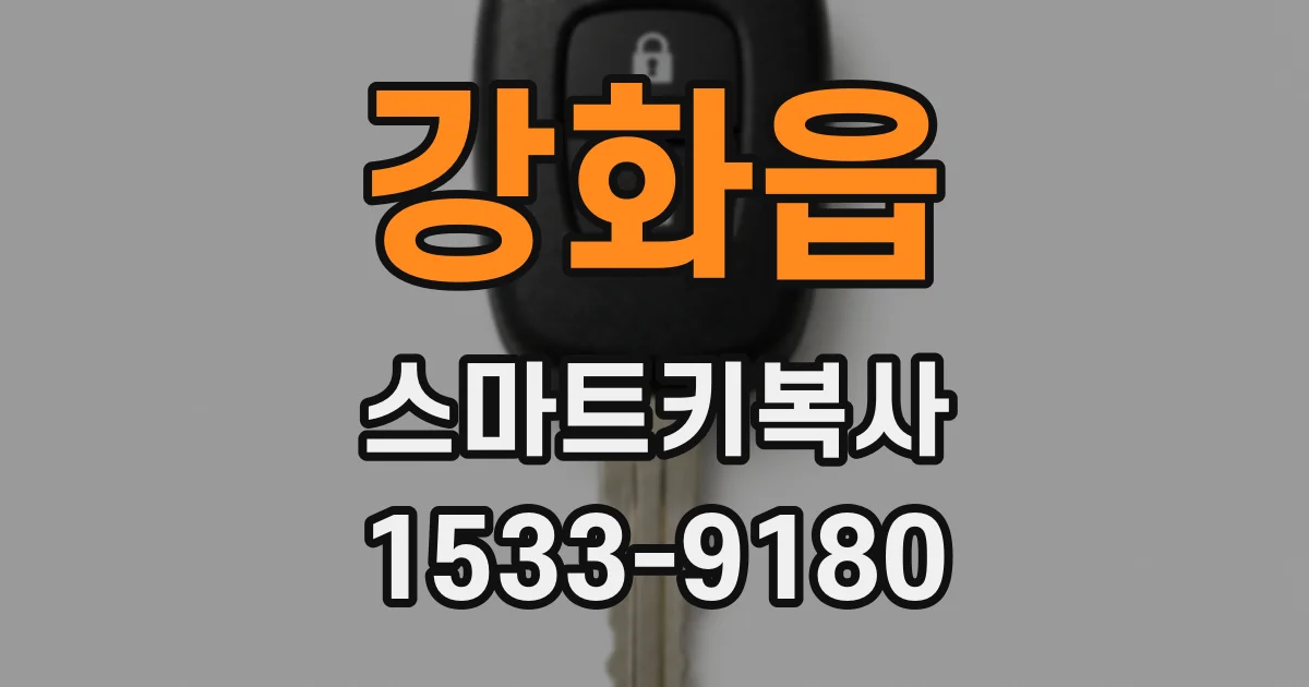 강화읍 스마트키복사
