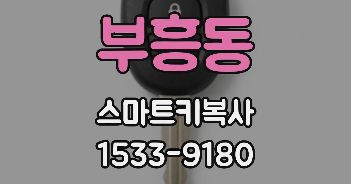 부흥동 스마트키복사