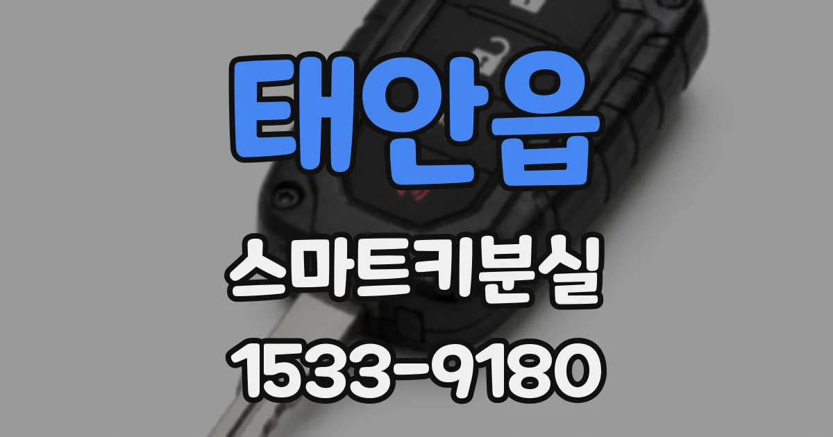 태안읍 스마트키분실