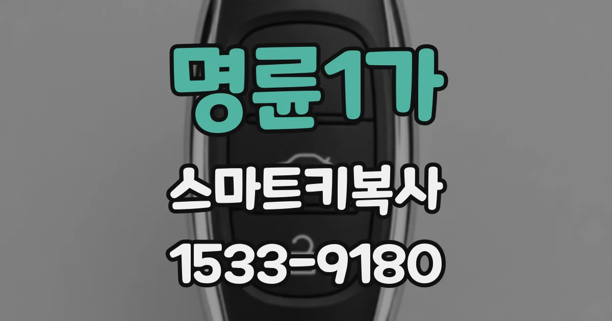 명륜1가 스마트키복사