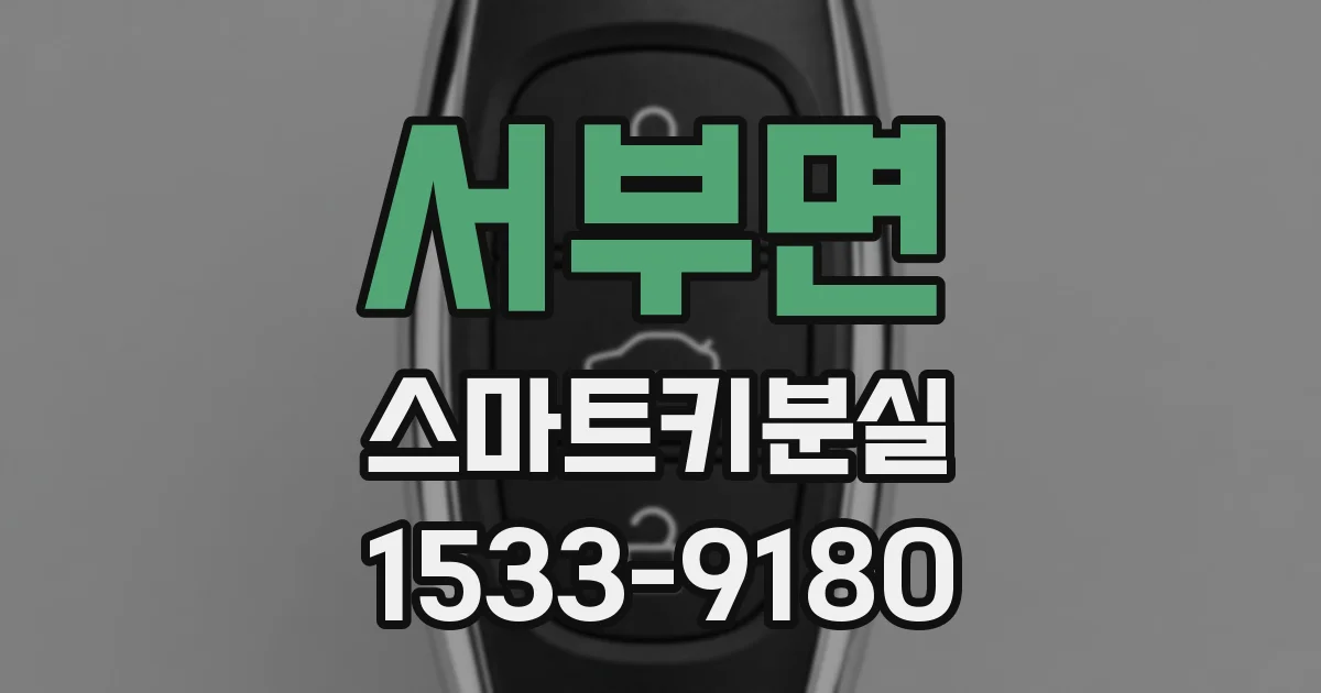 서부면 스마트키분실