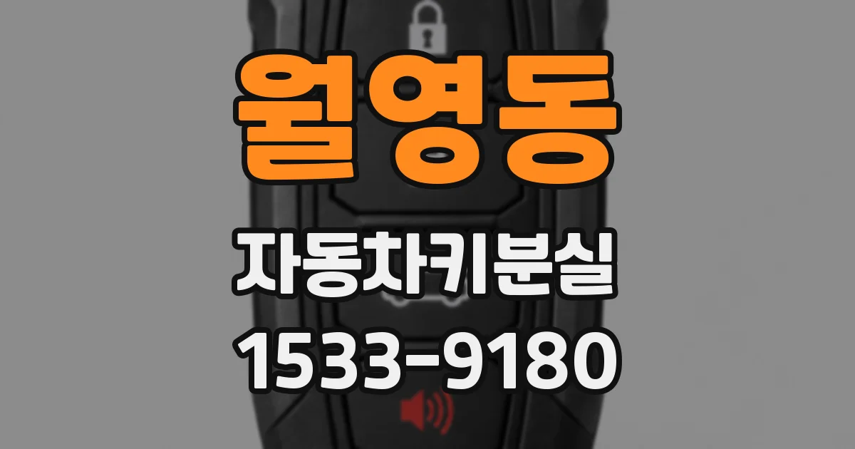 월영동 자동차키분실