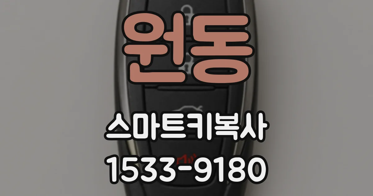 원동 스마트키복사