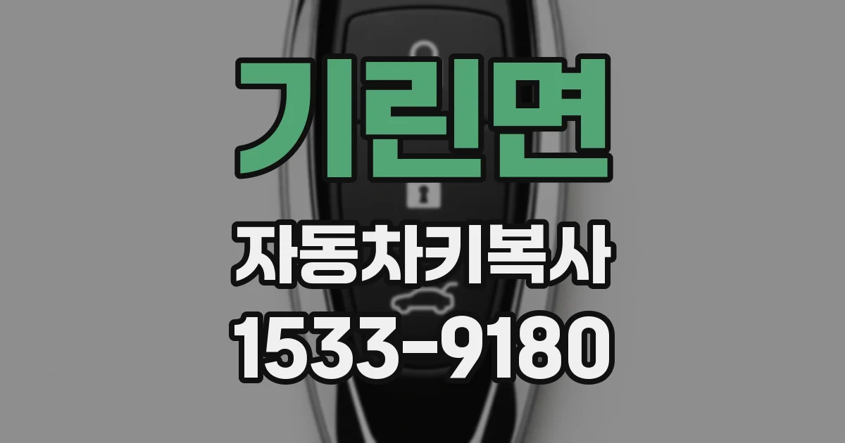 기린면 자동차키복사