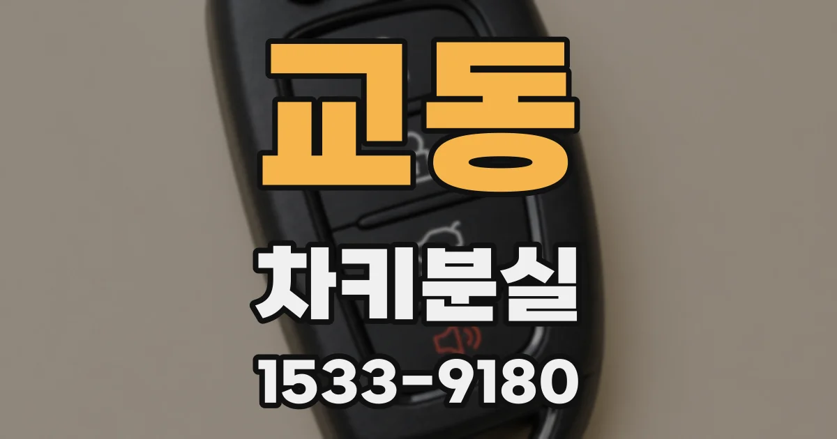 교동 차키분실