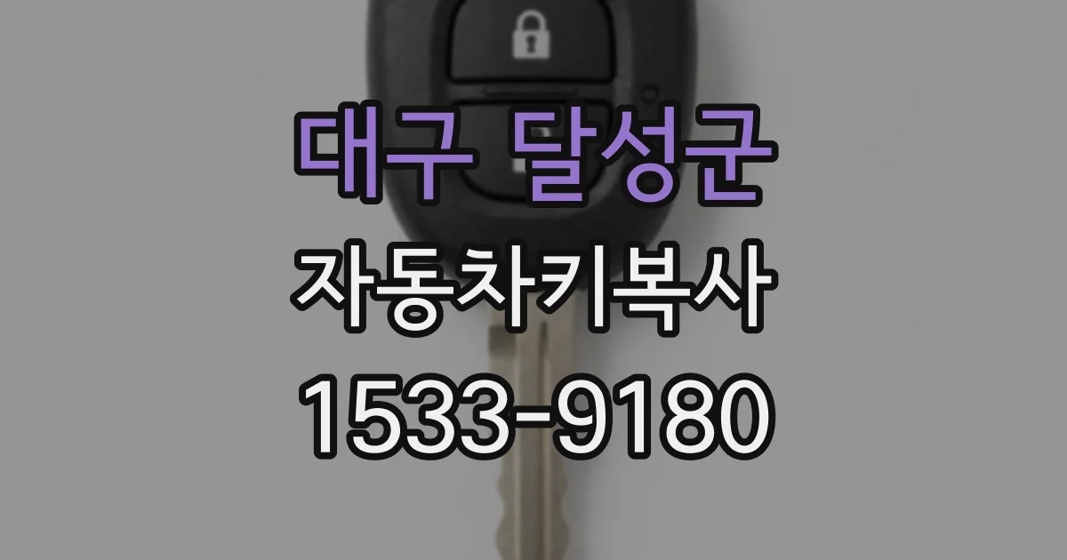 대구 달성군 자동차키복사