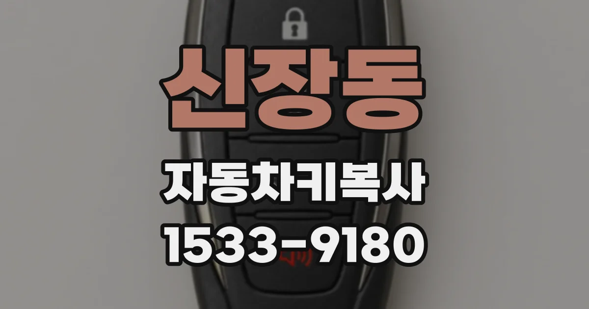 신장동 자동차키복사