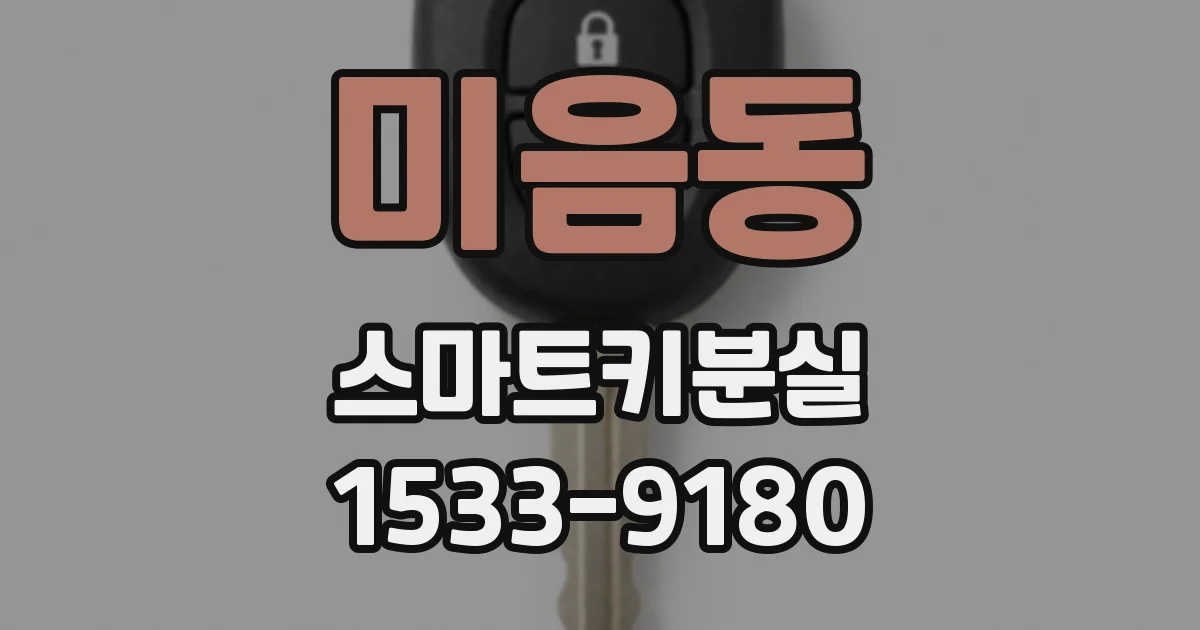 미음동 스마트키분실