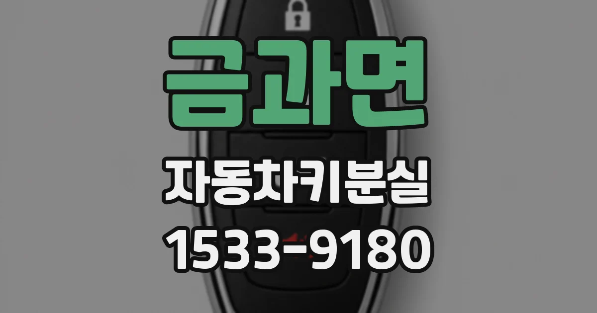 금과면 자동차키분실