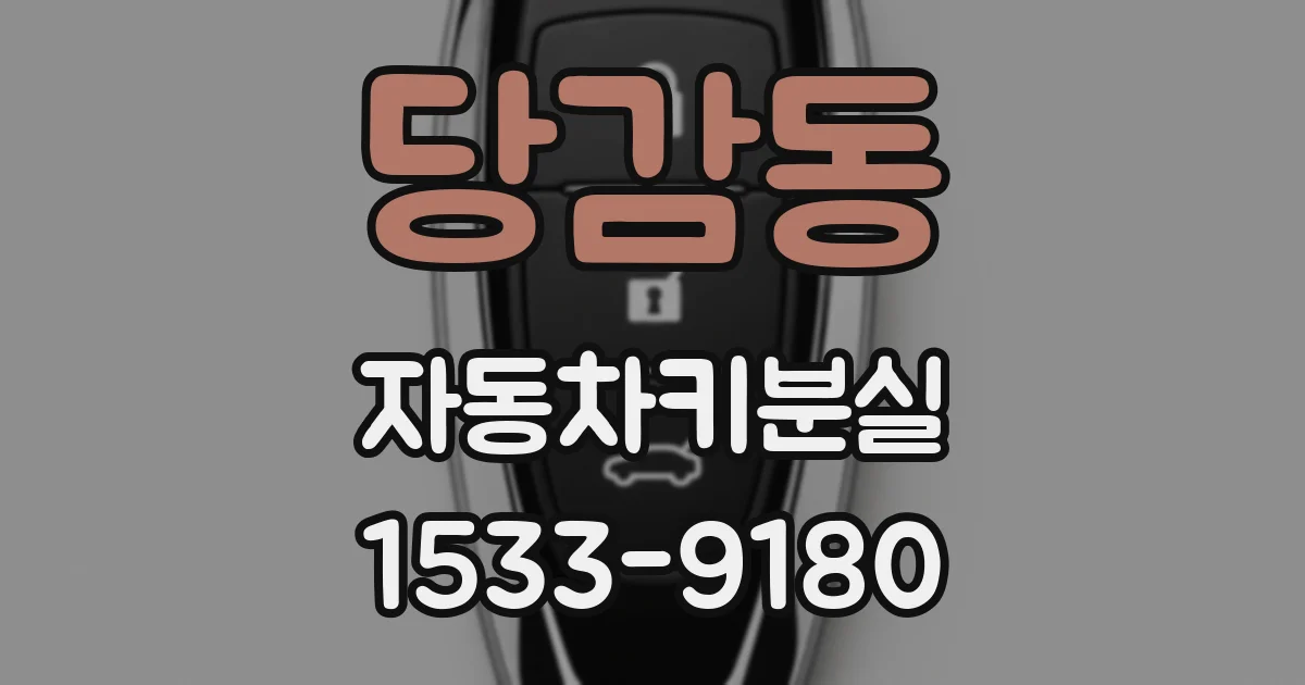 당감동 자동차키분실