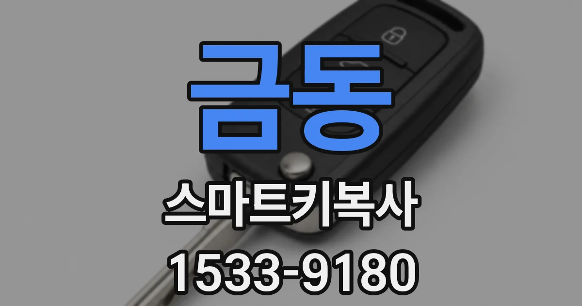 금동 스마트키복사