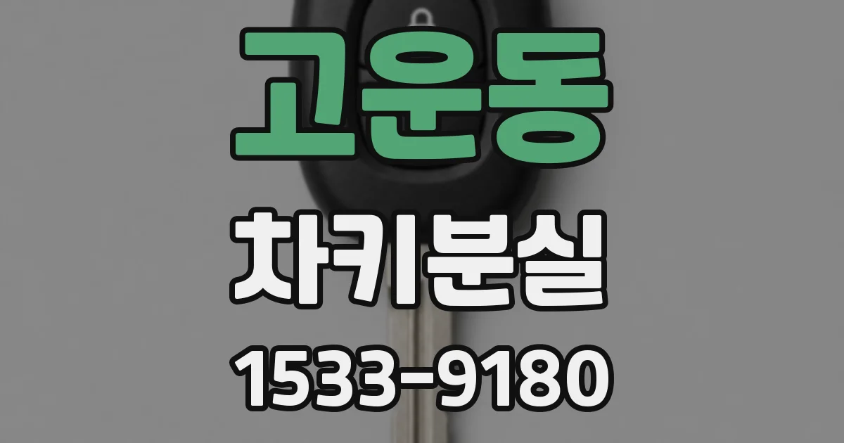 고운동 차키분실