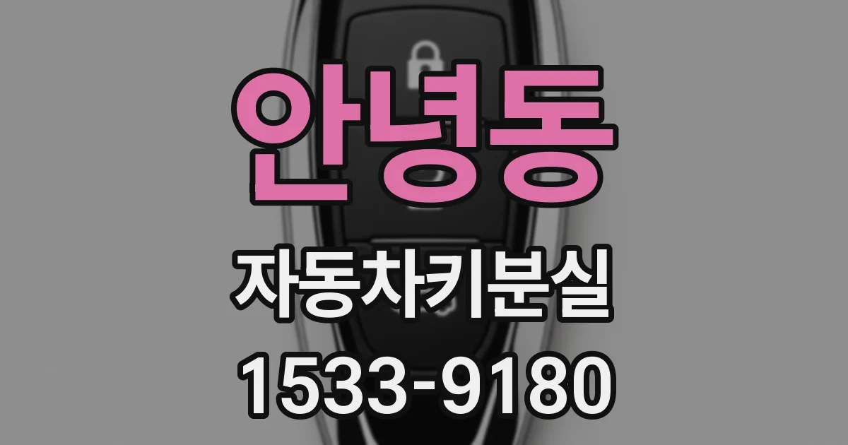 안녕동 자동차키분실