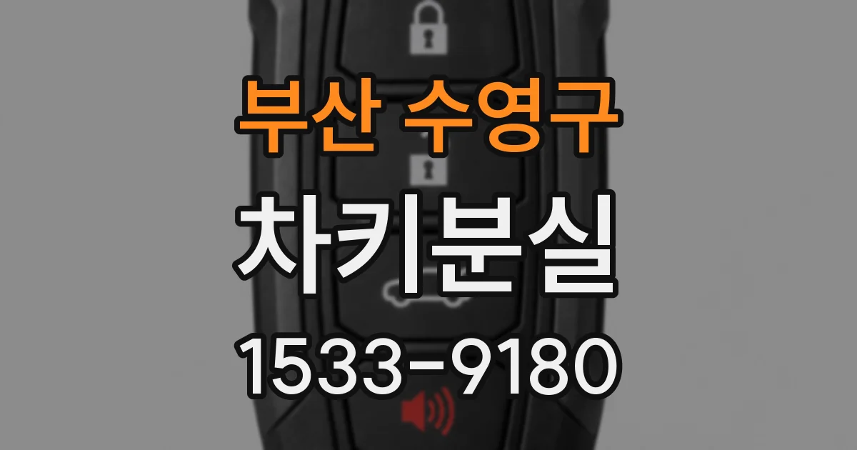 부산 수영구 차키분실