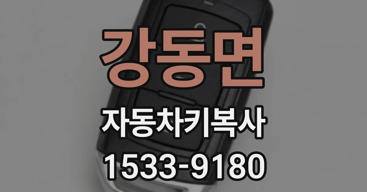 강동면 자동차키복사