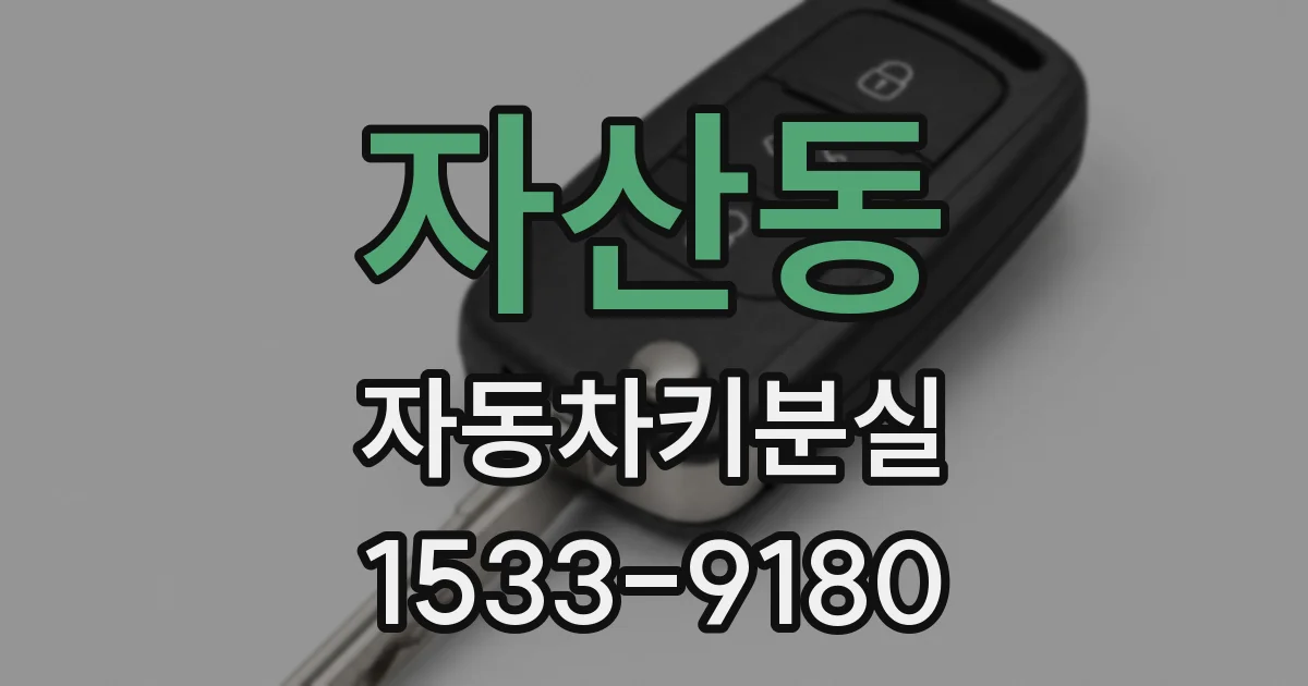 자산동 자동차키분실