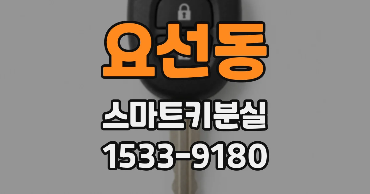 요선동 스마트키분실