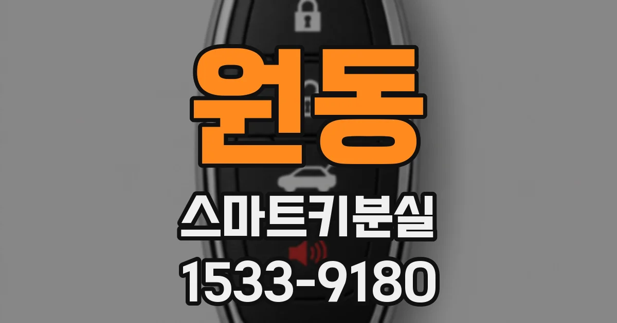 원동 스마트키분실