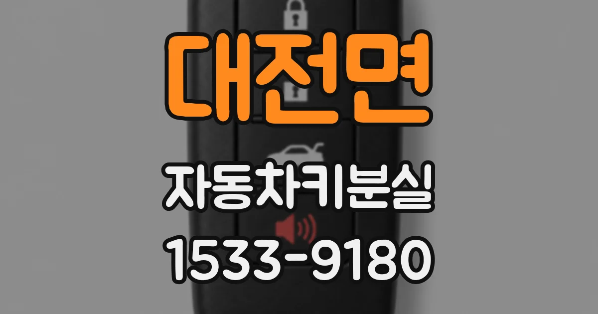 대전면 자동차키분실