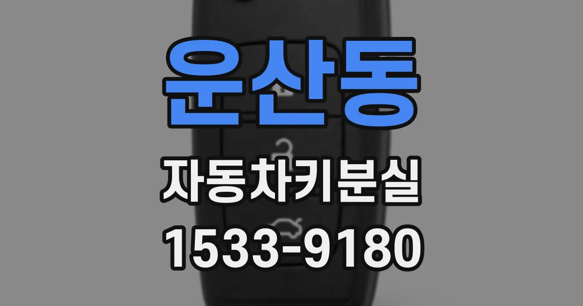 운산동 자동차키분실