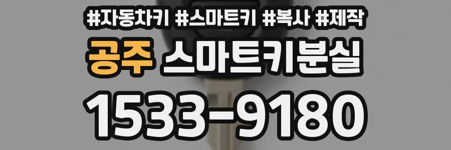 공주 스마트키분실