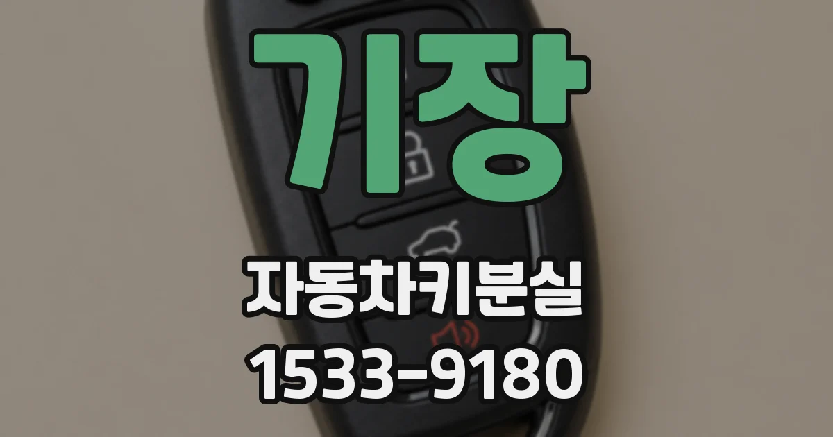 기장 자동차키분실