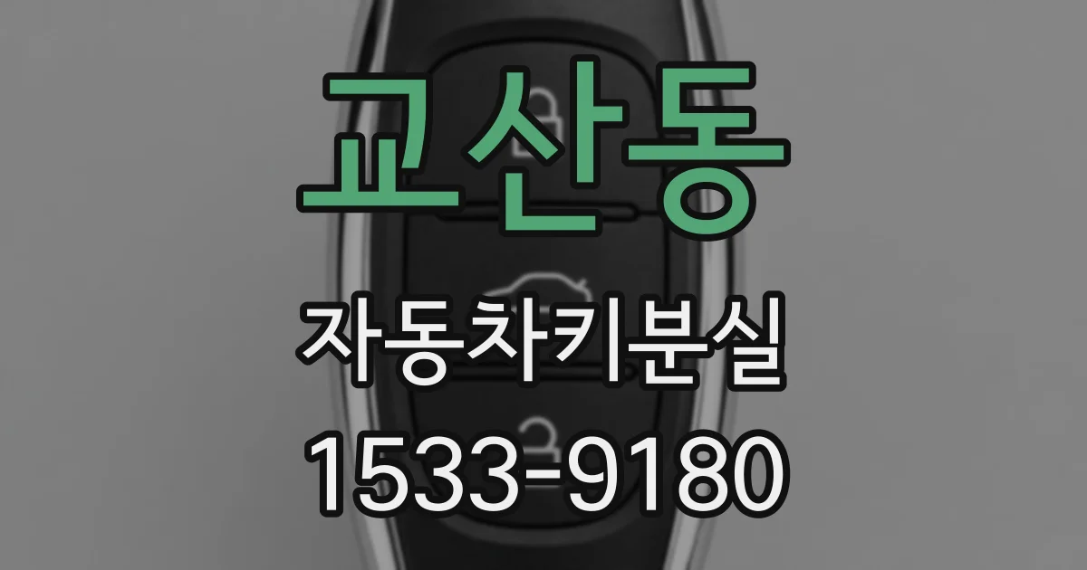 교산동 자동차키분실